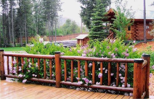 Coram Silverwolf Log Chalets מראה חיצוני תמונה